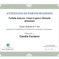 Ingrandire l'immagine: certificate 5