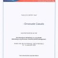 Ingrandire l'immagine: certificate 8