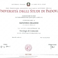 Ingrandire l'immagine: certificate 2