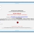 Ingrandire l'immagine: certificate 3