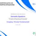 Ingrandire l'immagine: certificate 43