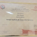 Ingrandire l'immagine: certificate 2