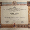 Ingrandire l'immagine: certificate 5
