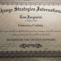 Ingrandire l'immagine: certificate 9