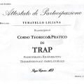 Ingrandire l'immagine: certificate 5