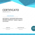 Ingrandire l'immagine: certificate 23