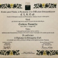 Ingrandire l'immagine: certificate 1