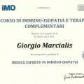 Ingrandire l'immagine: certificate 1