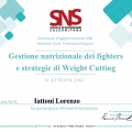 Ingrandire l'immagine: certificate 8