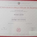 Ingrandire l'immagine: certificate 1