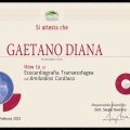 Ingrandire l'immagine: certificate 10