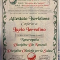 Ingrandire l'immagine: certificate 41