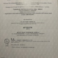 Ingrandire l'immagine: certificate 2