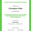 Ingrandire l'immagine: certificate 6