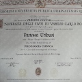 Ingrandire l'immagine: certificate 2