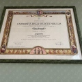 Ingrandire l'immagine: certificate 1