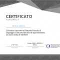 Ingrandire l'immagine: certificate 5