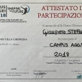 Ingrandire l'immagine: certificate 28