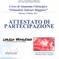 Ingrandire l'immagine: certificate 11