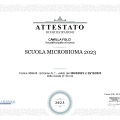 Ingrandire l'immagine: certificate 2