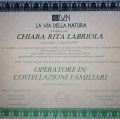 Ingrandire l'immagine: certificate 3