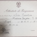 Ingrandire l'immagine: certificate 30