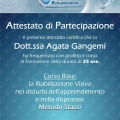 Ingrandire l'immagine: certificate 1
