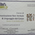 Ingrandire l'immagine: certificate 5