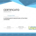 Ingrandire l'immagine: certificate 9
