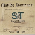 Ingrandire l'immagine: certificate 2