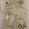 Ingrandire l'immagine: certificate 4