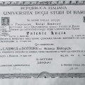 Ingrandire l'immagine: certificate 1