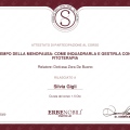 Ingrandire l'immagine: certificate 14