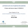 Ingrandire l'immagine: certificate 4