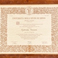 Ingrandire l'immagine: certificate 1