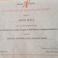 Ingrandire l'immagine: certificate 2