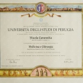 Ingrandire l'immagine: certificate 1