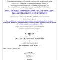 Ingrandire l'immagine: certificate 7