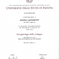 Ingrandire l'immagine: certificate 3