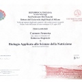 Ingrandire l'immagine: certificate 2