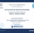 Ingrandire l'immagine: certificate 22