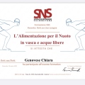 Ingrandire l'immagine: certificate 3