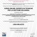 Ingrandire l'immagine: certificate 7