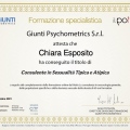 Ingrandire l'immagine: certificate 4
