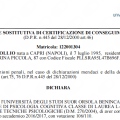 Ingrandire l'immagine: certificate 5
