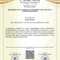 Ingrandire l'immagine: certificate 1