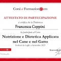 Ingrandire l'immagine: certificate 3