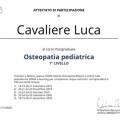 Ingrandire l'immagine: certificate 5