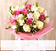 Flowers & Plants