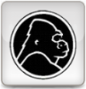 Gorilla Glass screen